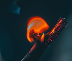 Preview wallpaper fire, branch, flame, dark