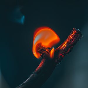 Preview wallpaper fire, branch, flame, dark