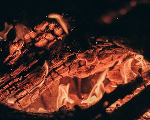 Preview wallpaper fire, embers, sparks, dark, bonfire