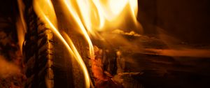 Preview wallpaper fire, firewood, burn, flame, closeup