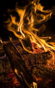 Preview wallpaper fire, firewood, coals, ash