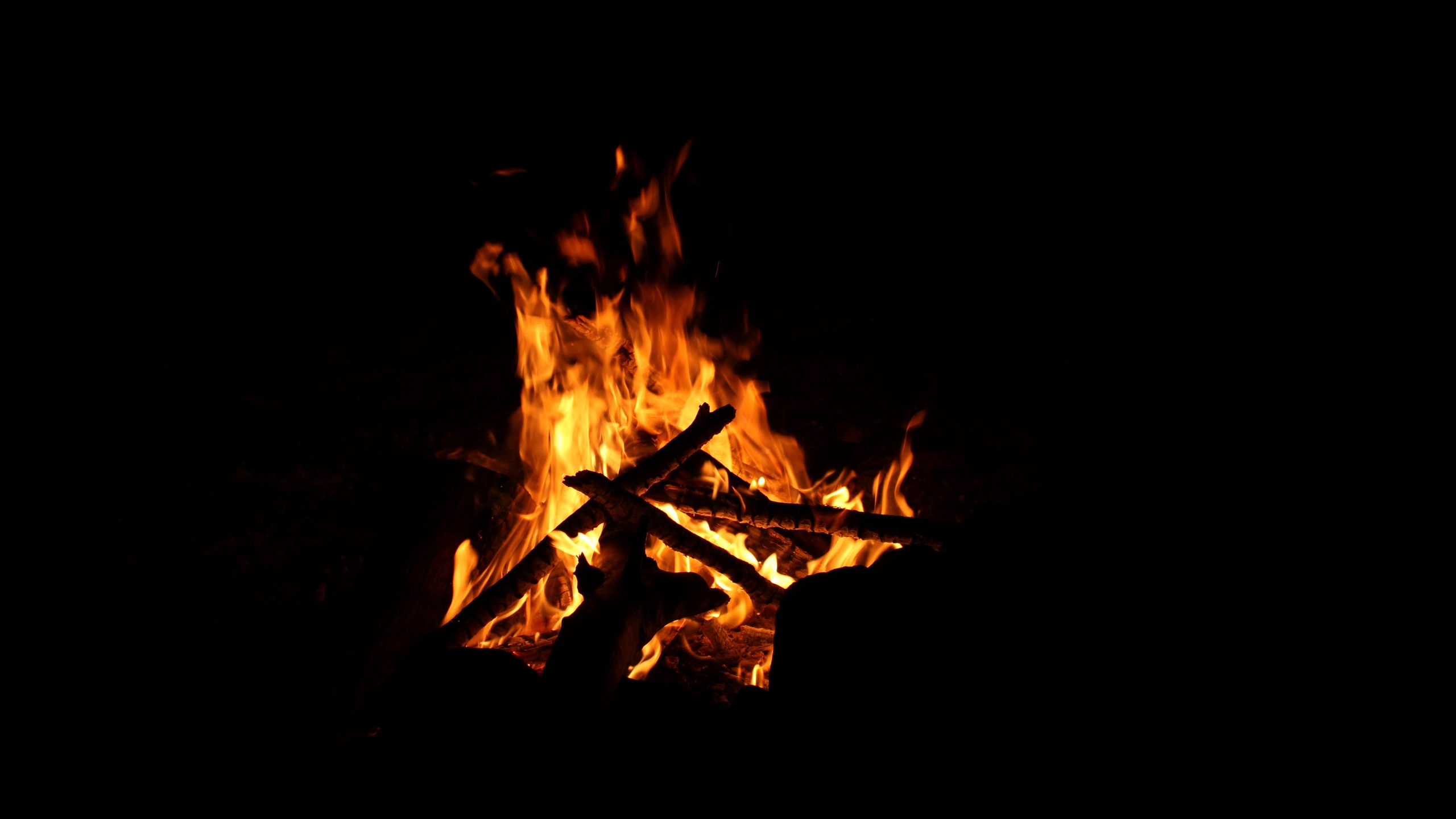 Download wallpaper 2560x1440 fire, firewood, flame, bonfire, night ...