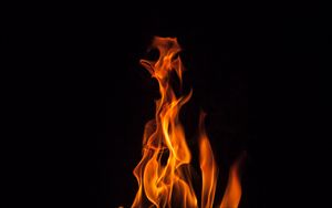 Preview wallpaper fire, flame, bonfire, dark, burning