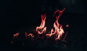Preview wallpaper fire, flame, bonfire, burn, night