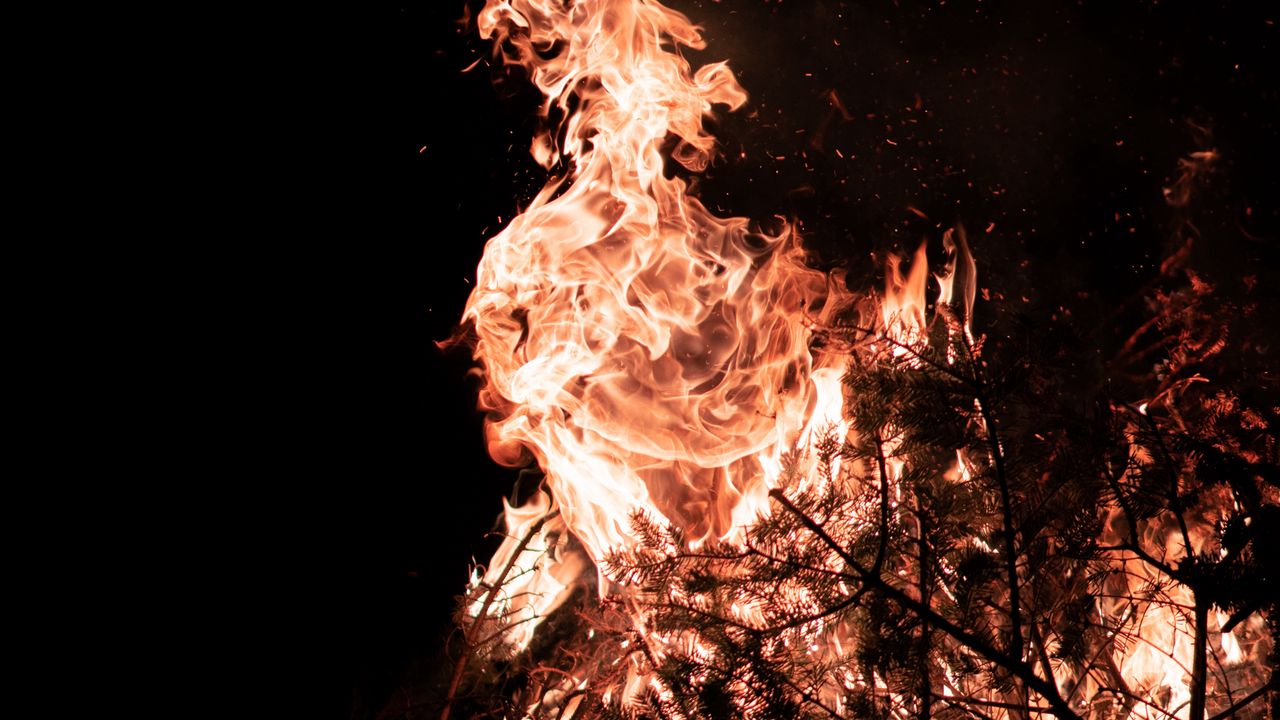 Wallpaper fire, flame, branches, bonfire