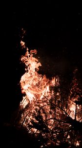 Preview wallpaper fire, flame, branches, bonfire