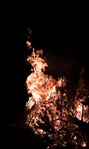 Preview wallpaper fire, flame, branches, bonfire