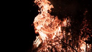 Preview wallpaper fire, flame, branches, bonfire