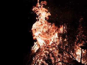 Preview wallpaper fire, flame, branches, bonfire