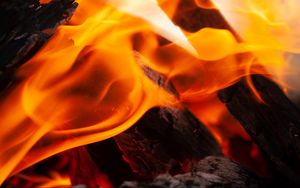 Preview wallpaper fire, flame, firewood, embers, ash, bonfire
