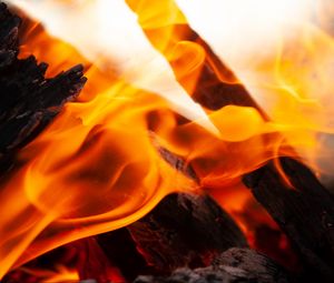 Preview wallpaper fire, flame, firewood, embers, ash, bonfire