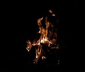 Preview wallpaper fire, flame, night, dark, bonfire