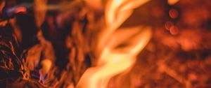 Preview wallpaper fire, flame, sparks, bonfire, dark