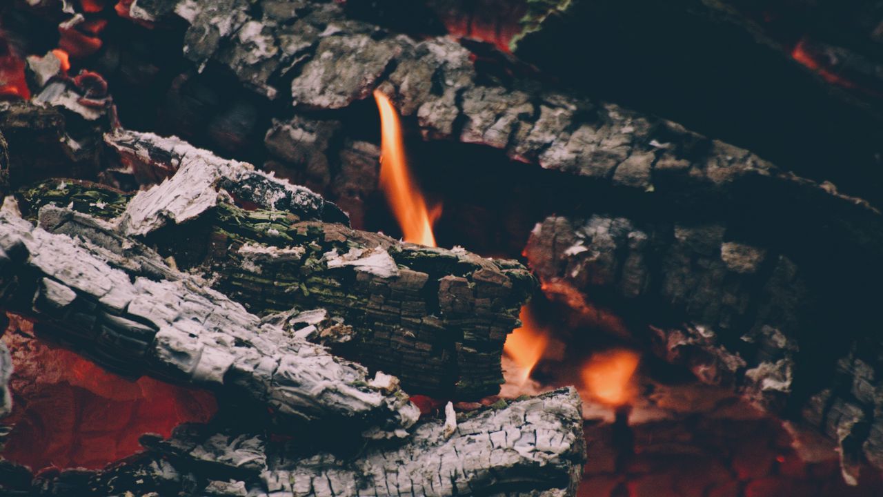 Wallpaper fire, logs, flames, ashes