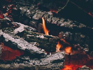 Preview wallpaper fire, logs, flames, ashes