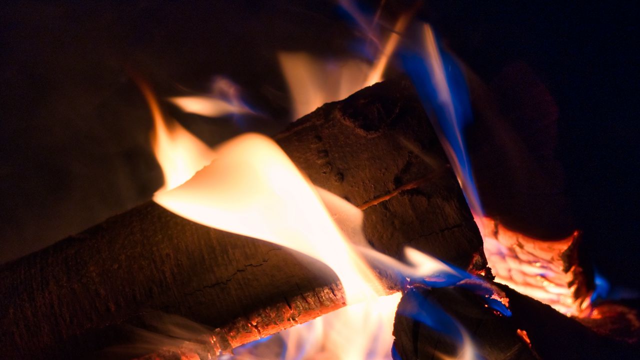 Wallpaper firewood, fire, flame, bonfire