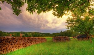 Preview wallpaper firewood, tree, branches, meadow, glade, summer vacation