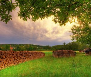 Preview wallpaper firewood, tree, branches, meadow, glade, summer vacation