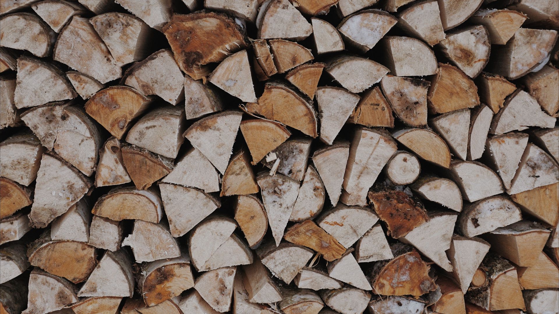 Download wallpaper 1920x1080 firewood, wooden, woodpile, warehouse full