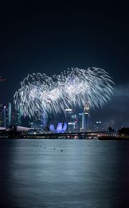 Preview wallpaper fireworks, city, night, holiday