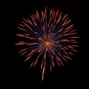 Preview wallpaper fireworks, holiday, sparks, black