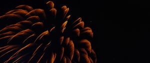 Preview wallpaper fireworks, long exposure, sparks, dark