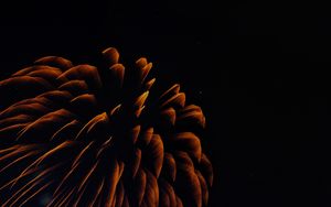 Preview wallpaper fireworks, long exposure, sparks, dark