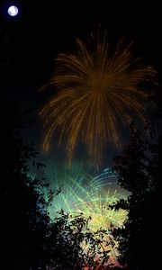 Preview wallpaper fireworks, salute, night, dark, art