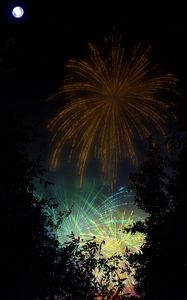 Preview wallpaper fireworks, salute, night, dark, art