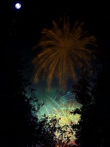 Preview wallpaper fireworks, salute, night, dark, art