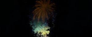 Preview wallpaper fireworks, salute, night, dark, art