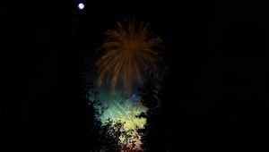 Preview wallpaper fireworks, salute, night, dark, art