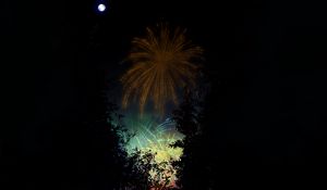 Preview wallpaper fireworks, salute, night, dark, art