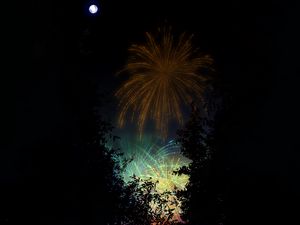 Preview wallpaper fireworks, salute, night, dark, art