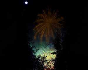 Preview wallpaper fireworks, salute, night, dark, art