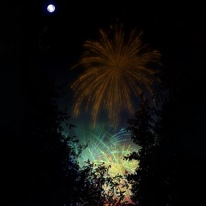 Preview wallpaper fireworks, salute, night, dark, art