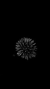 Preview wallpaper fireworks, salute, night, black, bw