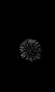 Preview wallpaper fireworks, salute, night, black, bw