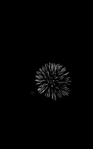 Preview wallpaper fireworks, salute, night, black, bw