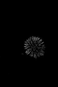 Preview wallpaper fireworks, salute, night, black, bw