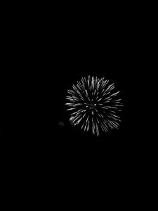 Preview wallpaper fireworks, salute, night, black, bw