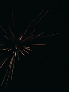 Preview wallpaper fireworks, salute, sparks, night, dark