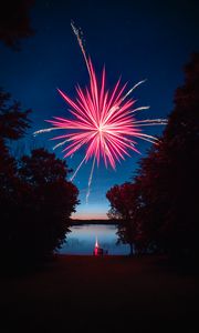 Preview wallpaper fireworks, salute, sparks, lake, night