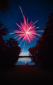 Preview wallpaper fireworks, salute, sparks, lake, night