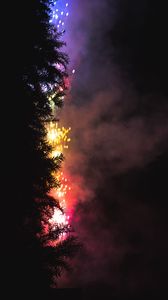 Preview wallpaper fireworks, salute, tree, dark, night
