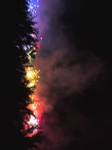 Preview wallpaper fireworks, salute, tree, dark, night