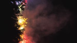 Preview wallpaper fireworks, salute, tree, dark, night