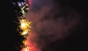 Preview wallpaper fireworks, salute, tree, dark, night