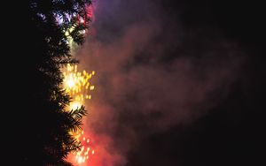 Preview wallpaper fireworks, salute, tree, dark, night