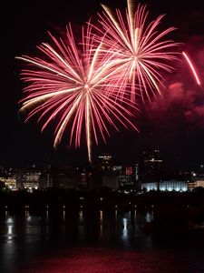 Preview wallpaper fireworks, sparks, explosions, night, celebration, dark